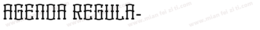 AGENDA REGULA字体转换